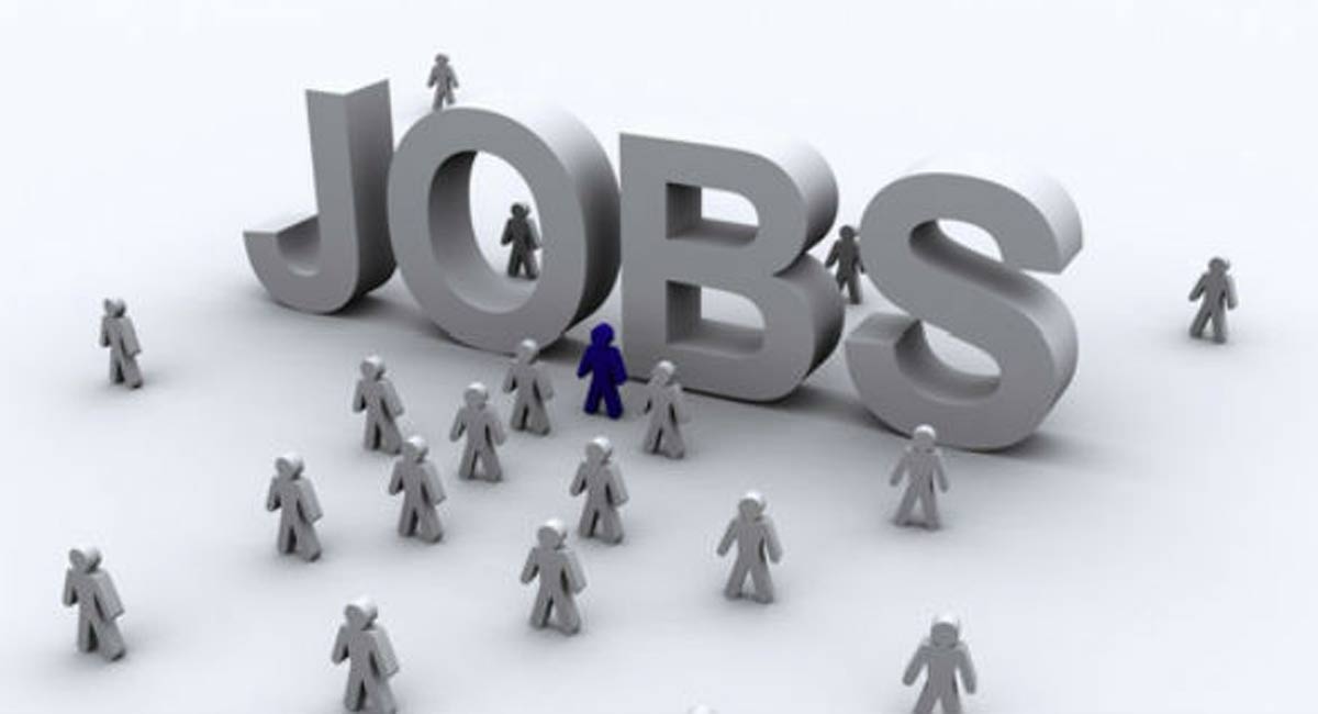 Central Government Employment Company job Opportunities