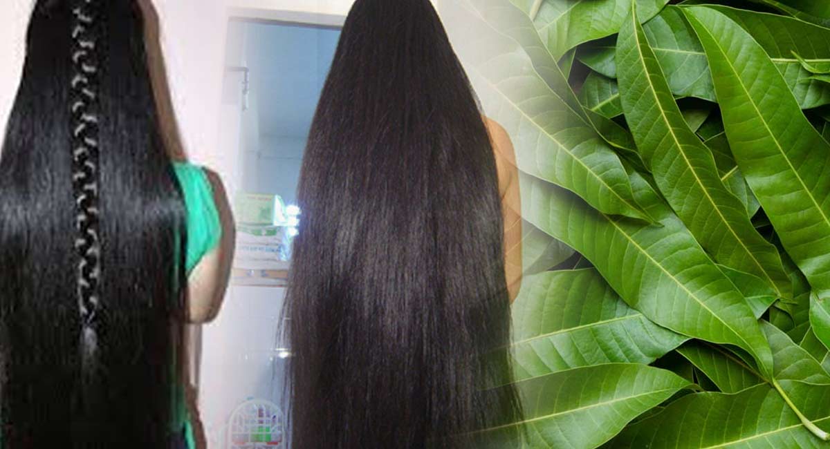 You own long hair with mango leaves