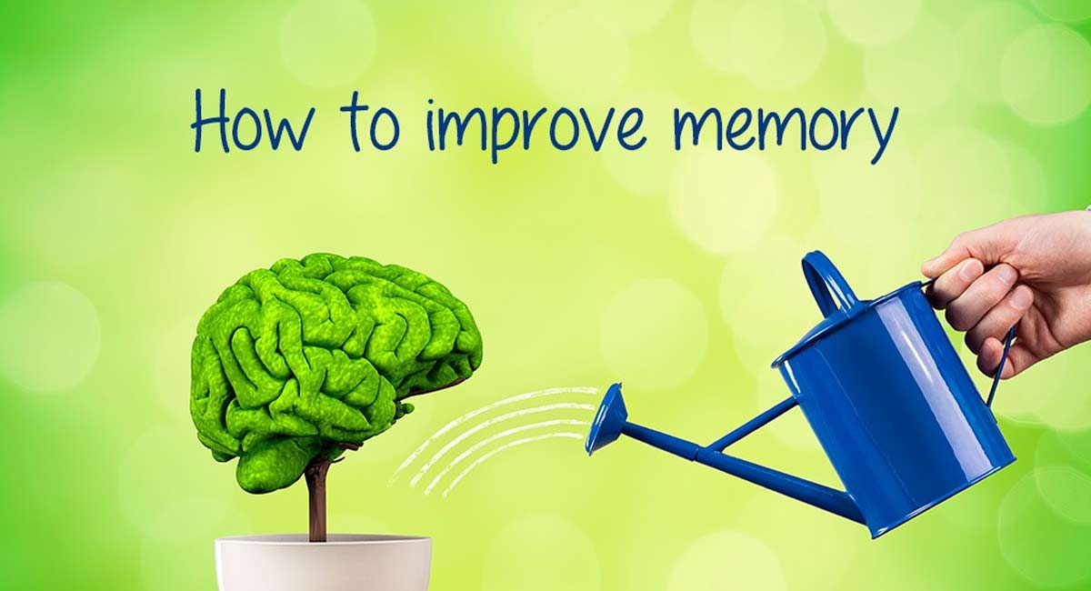 What kind of food to improve Memory Power