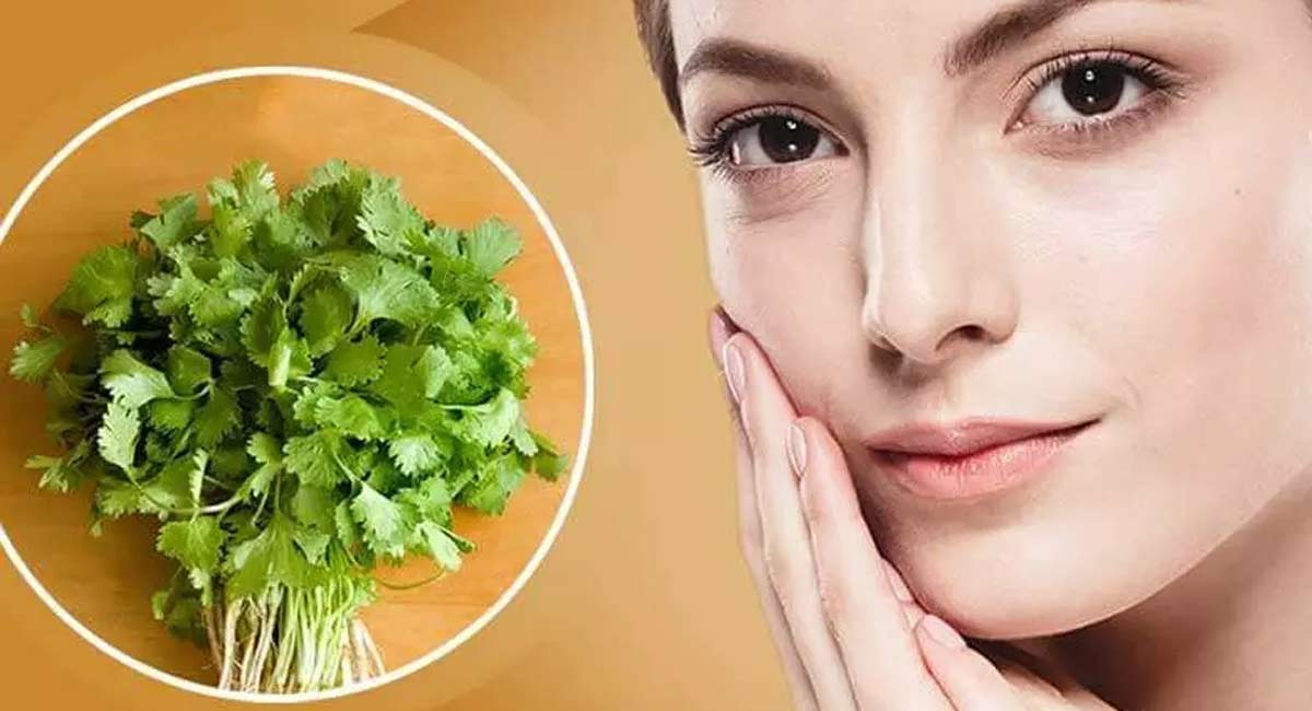 Beauty Tips in Coriander Face Pack