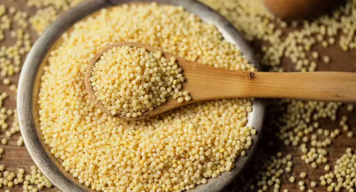 Health Tips Foxtail Millet Rice