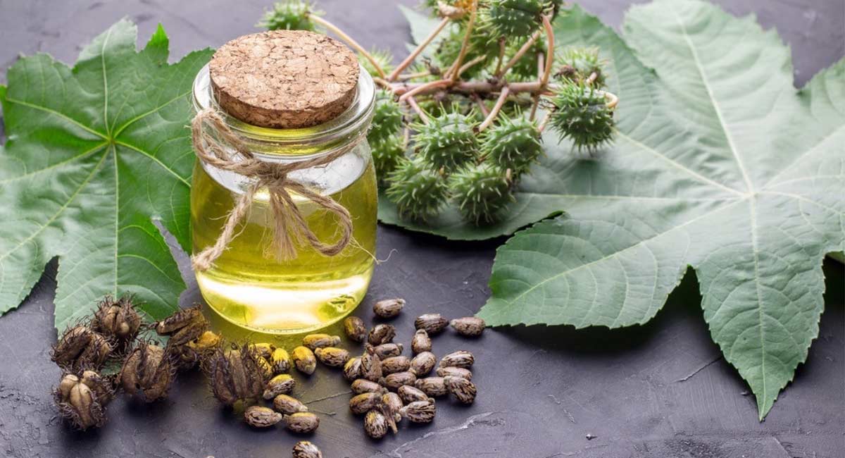 Incredible Health Benefits Of Castor Oil