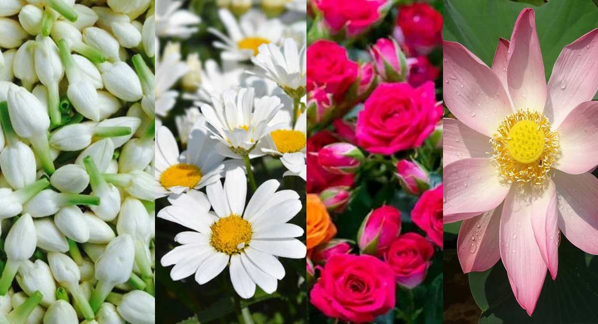 Do you know what kind of flowers to offer to any god