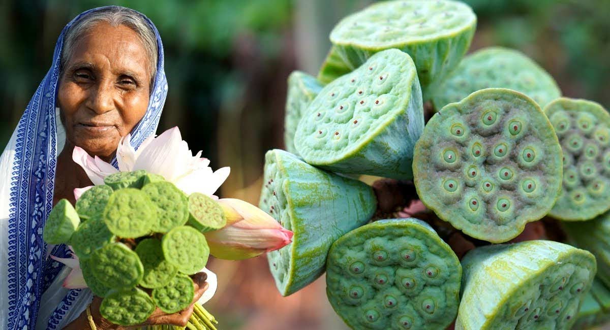 Amazing Health Benefits of Lotus Seeds