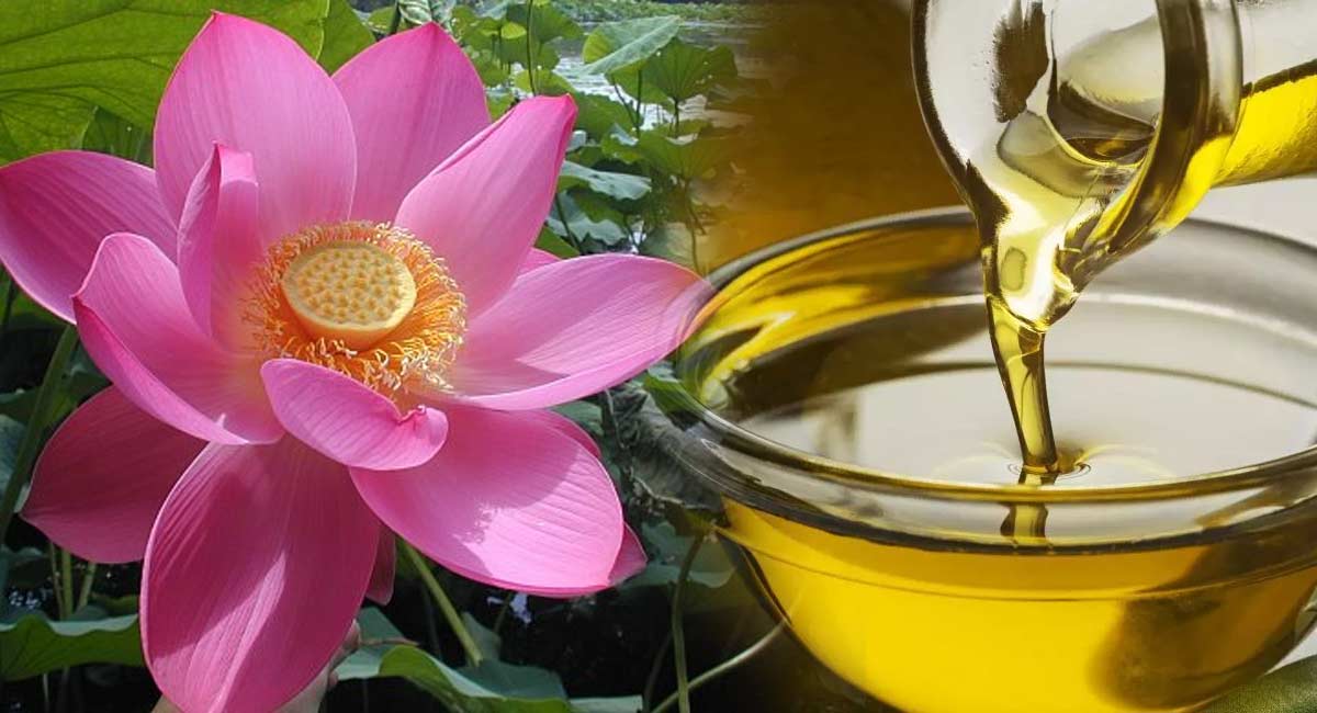 Health and Beauty Benefits Of Lotus Oil