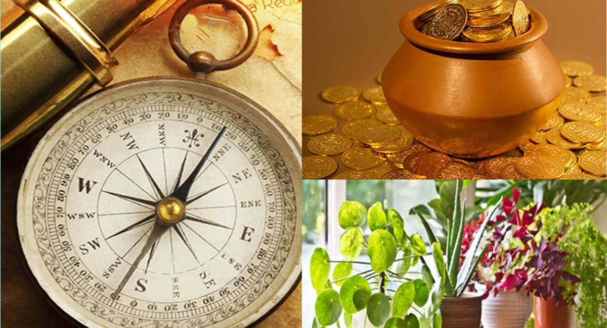 Vastu Tips All it takes to plant these plants is gold